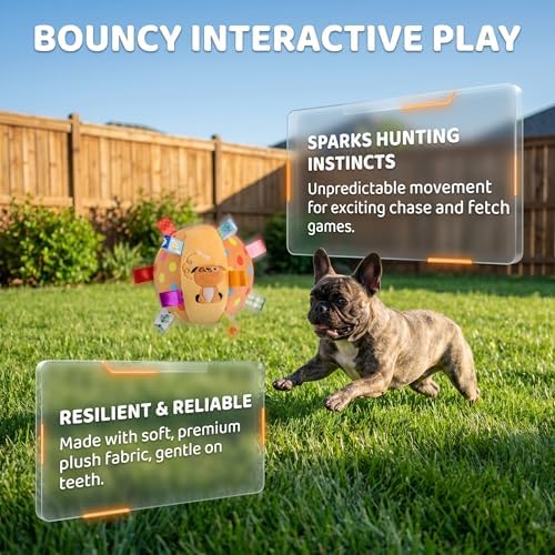 Colorful Squeaky Hanging Dog Training Toy, 6-Inch Squeaky Hanging Dog Toy, Soft Stuffed Ball with Cotton Material, Built-in Bell, Interactive Tug Chew Toy for Small Medium Dogs Indoor Play Fun (Mix-4)