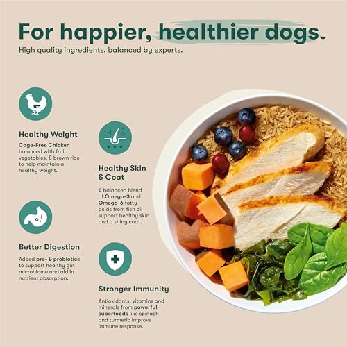 Jinx Puppy Dry Dog Food - Real Chicken, Brown Rice & Sweet Potato, 30lb