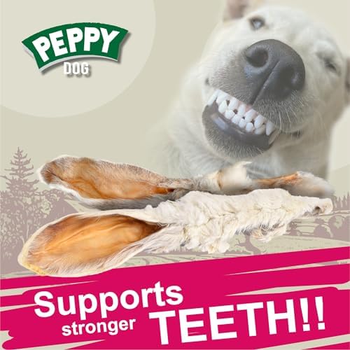 Rabbit Ears with Fur Dog Treats (50 pcs)| All-Natural, Hypoallergenic, Dehydrated Chews | Supports Dental Hygiene & Digestion | Ideal for Small, Medium & Large Dogs