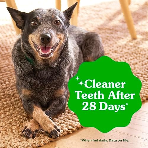 Greenies Regular Dental Dog Treats, Original Chicken Flavor, 54 Count