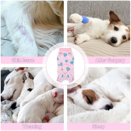 Recovery Suit for Dogs After Surgery Dog Onesie Female Spay Surgical