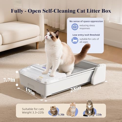 Robotail Open Top Automatic Cat Litter Box with Visible Waste Bin