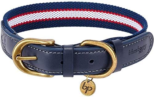 Blueberry Pet Soft & Comfy Genuine Full Grain Leather & Polyester Combo Adjustable Dog Collar - Classic Staple Striped in Navy White and Red, Small, Neck 12"-15"