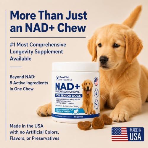 NAD+ Precursor Senior Dog Supplement – NMN Alternative Soft Chews for Longevity, Healthy Aging & Cellular Energy – Nicotinamide Riboside (NR), Resveratrol, Quercetin, Glucosamine & Omega-3