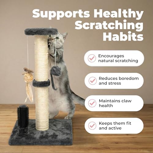 Best Pet Supplies Catify Cat Scratching Post - Gray H: 25"