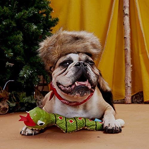 BarkBox Toxic Tony
