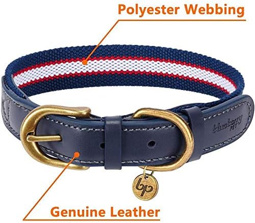 Blueberry Pet Soft & Comfy Genuine Full Grain Leather & Polyester Combo Adjustable Dog Collar - Classic Staple Striped in Navy White and Red, Small, Neck 12"-15"