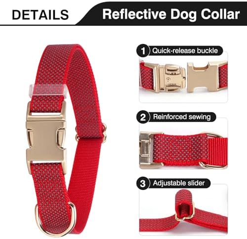 Personalized Reflective Nylon Dog Collar with Name, Rose