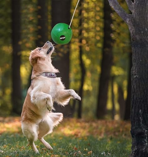 SPOT Ethical Products Tether Ball W-Rope