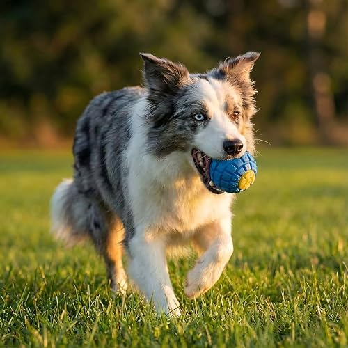 Squeaky Dog Toy Ball, Keyboard-Shaped Chew Toy for Teeth Cleaning, Durable Natural Rubber for Aggressive Chewers, Interactive Dog Toys for Medium & Large Dogs (Vibrant Orange, Large(3.5''))