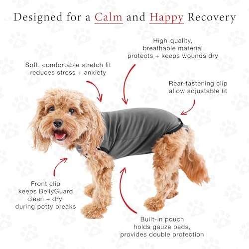 BellyGuard Dog Surgery Recovery Suit, Male Female After Spay Neuter Onesie