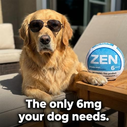 Zen-Pouchy Funny Dog Toy Squeaker - Hilarious Parody Nic Pouch Plush Toy - Durable Interactive Dog Toy for Small, Medium Dogs (Blue)