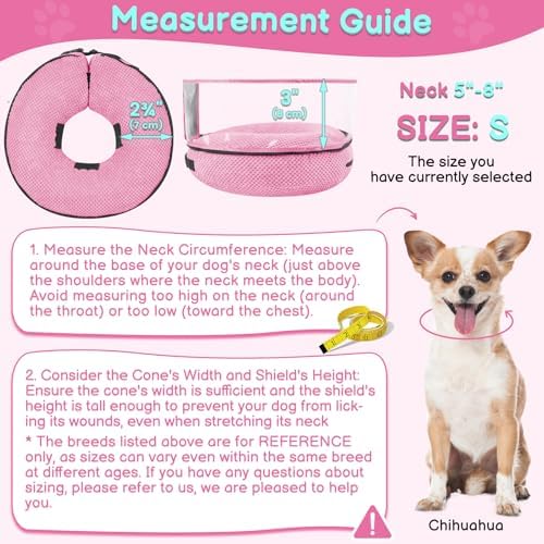 Inflatable Dog Cone with Clear Shield for Added Coverage