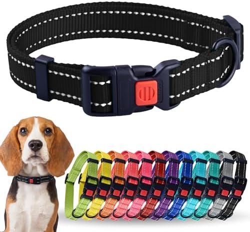 Reflective Dog Collar, Quick-Release Buckle (Black, 18-26 Inch)