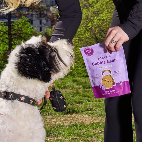 Bocce's Bakery Gobble Gains Protein Jerky Dog Treats, Turkey (5 oz)