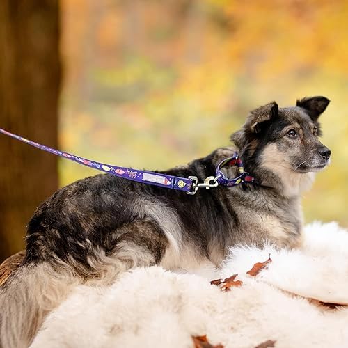 Lucky Love Dog Martingale Collar & Leash Set No Slip Cute – Mackey, Medium