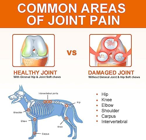 ZIXAOK Glucosamine for Dogs - Hip & Joint Supplement (150 Tablets, 13.2 oz)