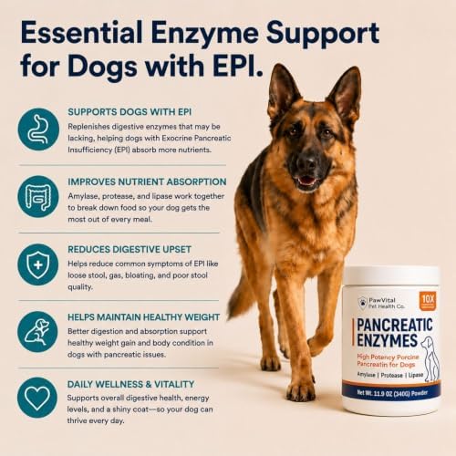 Pancreatic Enzymes for Dogs – 10X High Potency Porcine Pancreatin Digestive Enzyme Powder with Amylase, Protease & Lipase – EPI Support, Digestion & Nutrient Absorption – 340g