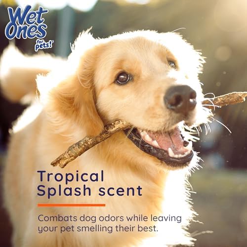 Wet Ones for Pets XL Dog Bathing Wipes, Tropical Splash, 10 Count, 3-Pack