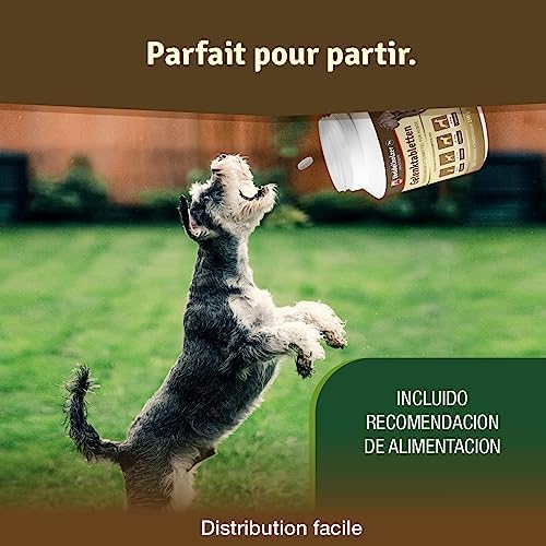 Veddelholzer Dog Joint Supplement Tablets – Hip & Joint Support with Glucosamine, Chondroitin, MSM & Turmeric – Mobility, Flexibility & Comfort Aid for Large & Small Breeds – Vet Recommended