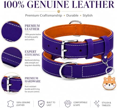 Genuine Leather Dog Collar, Soft Padded Leather Dog Collars with Airtag Holder Case for Small Medium Large X-Large Dogs,Comfort Heavy Duty Pet Collar with Durable Metal Buckle & D-Ring-Dark Purple/M