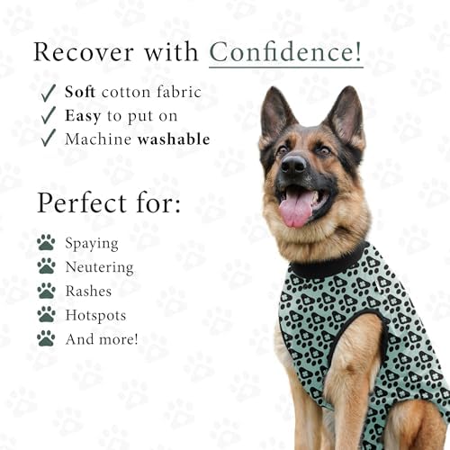 BellyGuard Dog Surgery Recovery Suit, Male Female After Spay Neuter Onesie