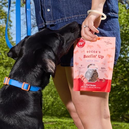 Bocce's Bakery Beefin' Up Protein Jerky Dog Treats, Beef (5 oz)