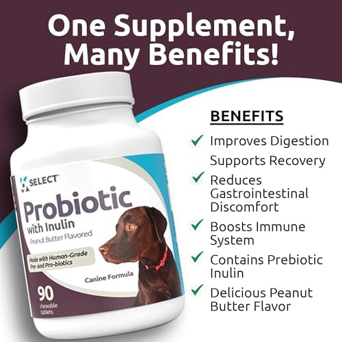 K9 Select Pet Probiotics for Dogs with Inulin – Dog probiotics for Digestive Health & Gut Support with Digestive Enzymes for Dogs, Supports Yeast Balance & Dog Digestive Support – 90 Tablets