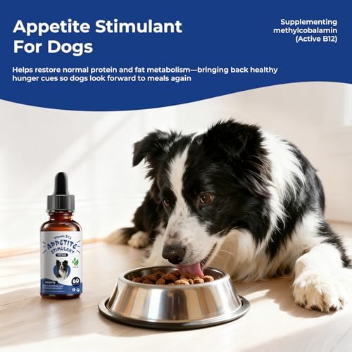 Appetite Stimulant for Dogs, Liquid Vitamin B12 & Methylcobalamin Drops