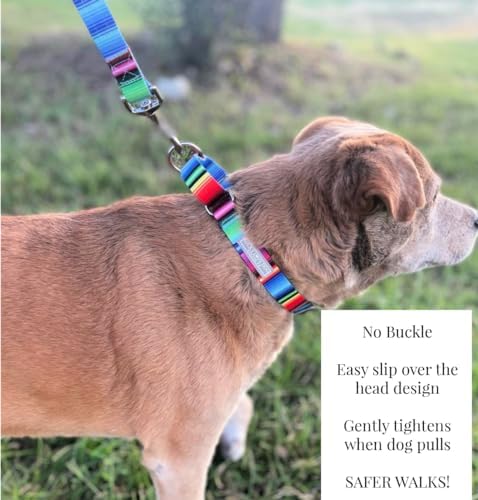 Lucky Love Dog Martingale Collar for Large Dogs No Slip Cute – Nacho, Large