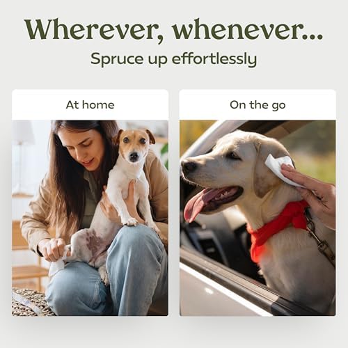 PAWFUME Dog Wipes, Unscented Pet Wipes, 2 Pack