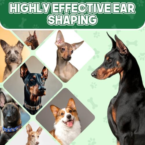 Doberman Ear Posting Kit, Waterproof, Long-Lasting, Easy Wash off with Soap