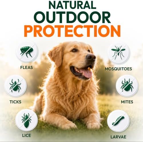 (2 Pack) Flea and Tick Prevention for Dogs Pills - 340 Chews - Made in USA