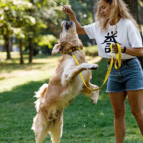 Reflective Dog Collar, Quick-Release Buckle (Yellow, 10-13 Inch)