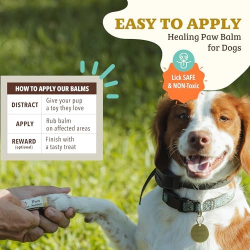 Natural Dog Company Paw Soother Dog Paw Balm – Moisturizes Dry Cracked Paws After Walks, Hot Pavement, Beach Sand, Hiking & Outdoor Play with Coconut Oil & Calendula, Daily Paw Care, 0.15 oz Stick
