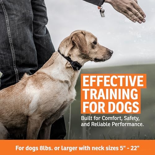 SportDOG FieldTrainer 425X Remote Trainer, 500-Yard Range, Waterproof