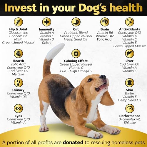30 Soft Chews Dog Vitamins - Hemp Oil Glucosamine Chondroitin Hip and Joint Support Health, Skin & Coat Supplements, Digestion & Immune Booster, Heart, Probiotics - Bacon Flavour