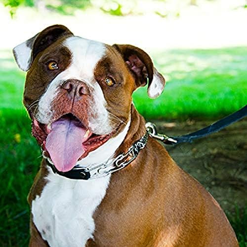Herm Sprenger Prong Collar for Dog Training with Easy Quick Release Buckle - German Made Dog Collar with Chrome Plated Steel 3.0mm Prongs for Large - Extra Large Dogs (20-25" Neck)
