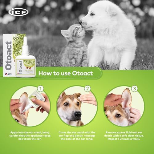 Fatro Otoact 100 Ml. 100 ml