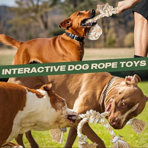 TwoEar Dog Rope Toy for Large Dogs - 4 Pack Natural Cotton Dog Chew Toys