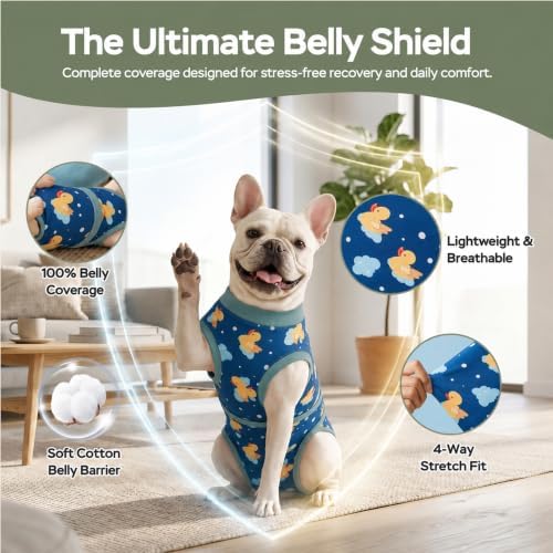 PetWarm Dog Surgery Recovery Suit, Recovery Suit for Dogs, Duck, Green, S