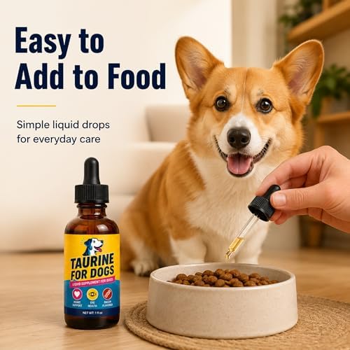 Taurine for Dogs Liquid Supplement, Bacon Flavored Dog Taurine Drops with Eyebright, 100mg per 1mL, Taurine Supplement for Dogs for Small Medium & Large Dogs, 1 fl oz