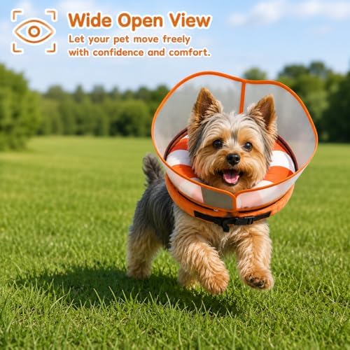 Avont 2-in-1 Dog Cone S Swimring Shield