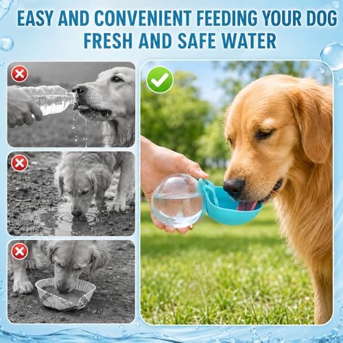 2 in 1 Portable Dog Water Bottle Tumbler, 10oz Stainless Steel (Pink)
