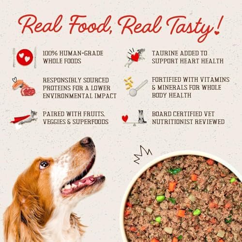 Stella & Chewy's FreshMade Frozen Fresh Grain-Free Beefy-Licious Dog Food, 16-oz Pouch (Pack of 12)