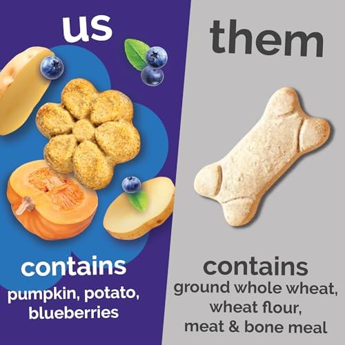 Fruitables Baked Dog Treats, Low Calorie Treats, Pumpkin & Blueberry, 7oz