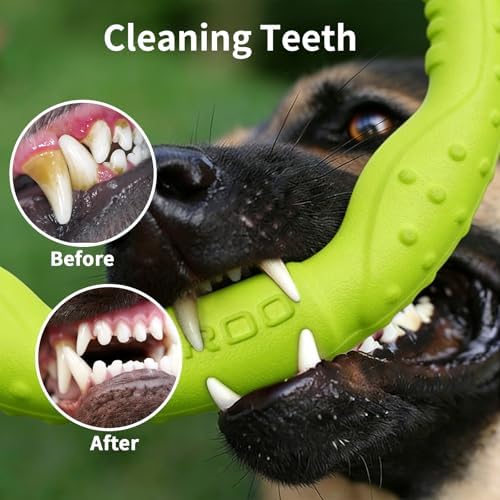 LaRoo Dog Chew Toy Ring 8.6 Inch,Floating Fetch Flying DiscInteractive Tug of War Toy for Dogs,Waterproof Lightweight Outdoor Dog Play Toy for Medium Dogs(Green)