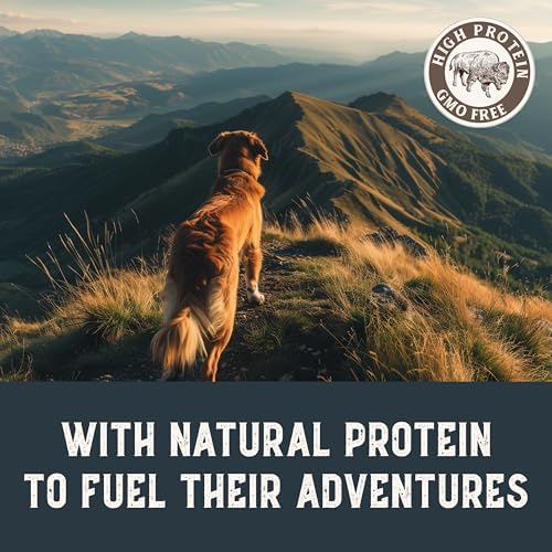 Health Extension Bison & Fish Dehydrated Jerky Dog Treats – 14 oz – Protein-Rich, Grain-Free, Made in USA – Limited Ingredients for Sensitive Dogs & Training Rewards