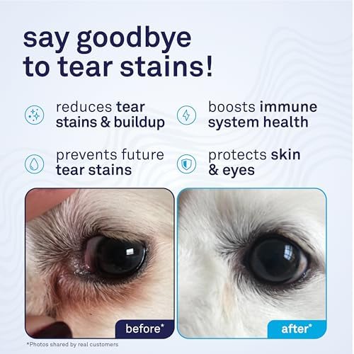 Petpost Tear Stain Remover Soft Chews for Dogs | 90 Count Chicken Flavor Dog Tear Stain Support Supplement | Gentle Eye Care for White Dogs & Light Breeds | Tylosin Free, Made in USA