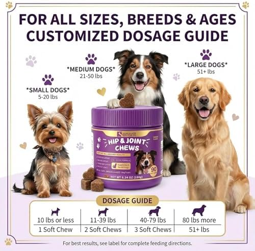 Hip and Joint Chews for Dogs - All-in-One Mobility Support with Glucosamine, MSM, Chondroitin & Green Lipped Mussel - 90CT Chicken Flavor - Helps with Dog Stiffness, Limping & Recovery.